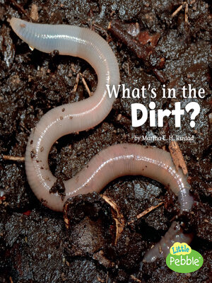 cover image of What's in the Dirt?